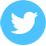 Twitter Logo